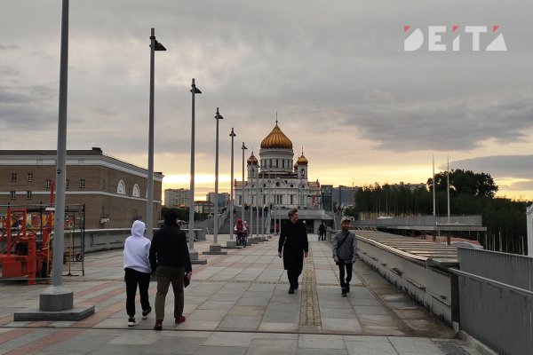 Кракен лег