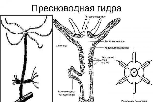 Kraken tor ссылка kraken014 com