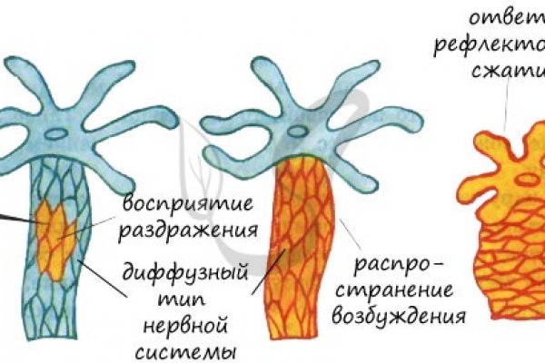 Kra38.cc