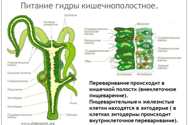 На сайте кракен пропал пользователь