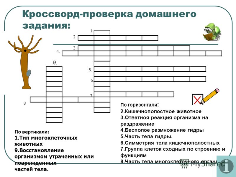 Кракен рабочая ссылка на сайт